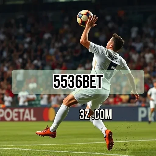 Bingo Criativo no 5536bet App para Todos os Jogadores